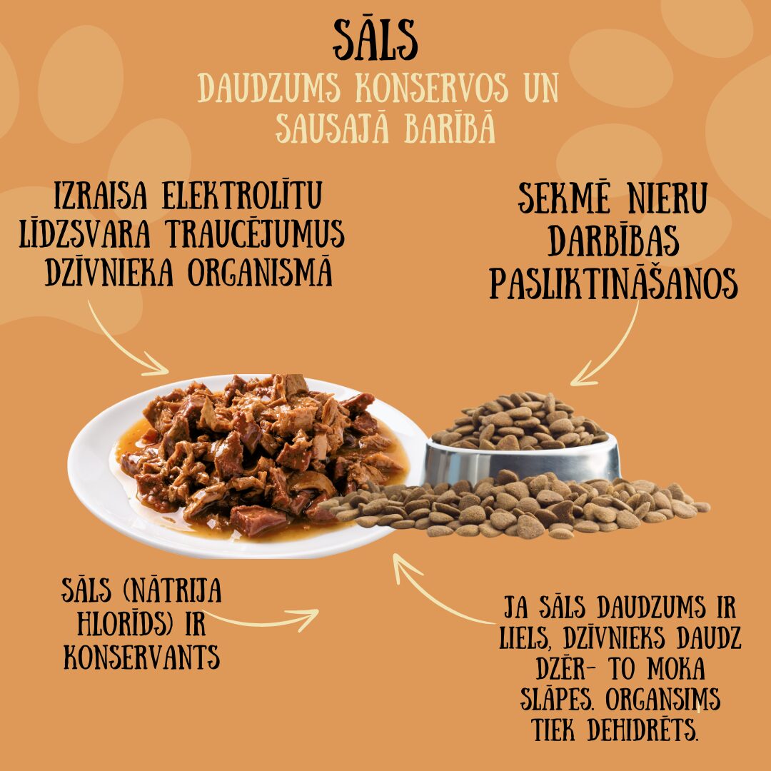 Olive_Green_Natural___Organic_Pet_Food_Lifestyle_Instagram_Post-3.jpg