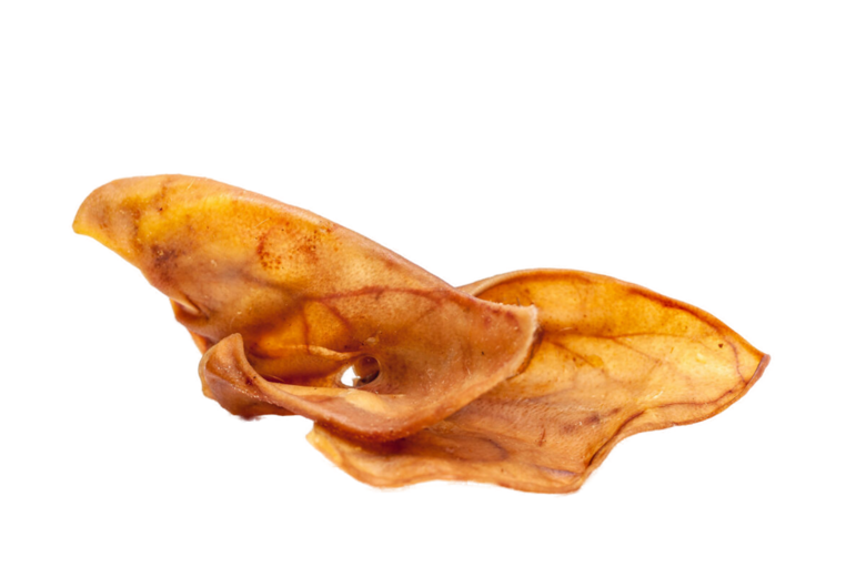 Pig's ear