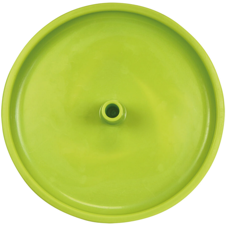 PROCYON. Frisbee