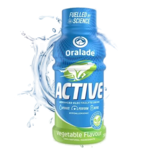 ORALADE ACTIVE elektrolītu dzēriens suņiem  ar dārzeņiem 250 ml 