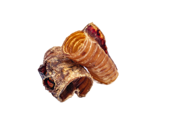 Beef trachea (cut)