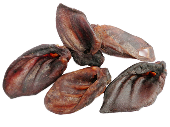Wild boar ear
