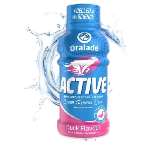 ORALADE Active Electrolyte Drink for Dogs 250 ml