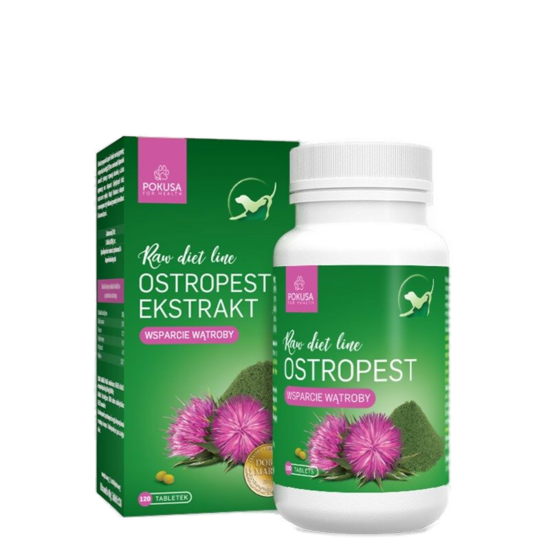 POKUSA MILK SEED EXTRACT for liver health 120 tablets