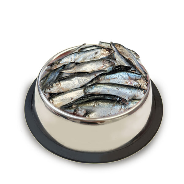 FALCO herring frozen 500 g