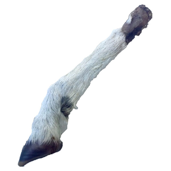 Jera/teļa/brieža kājas ar spalvu 2gb