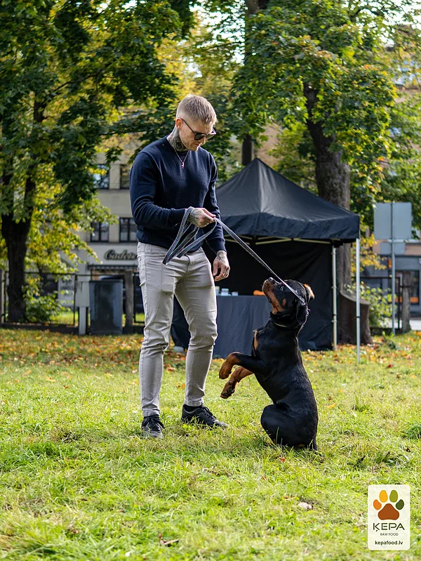 ĶEPA dog brunch, 3 October. Photo: Anda Upīte. 128