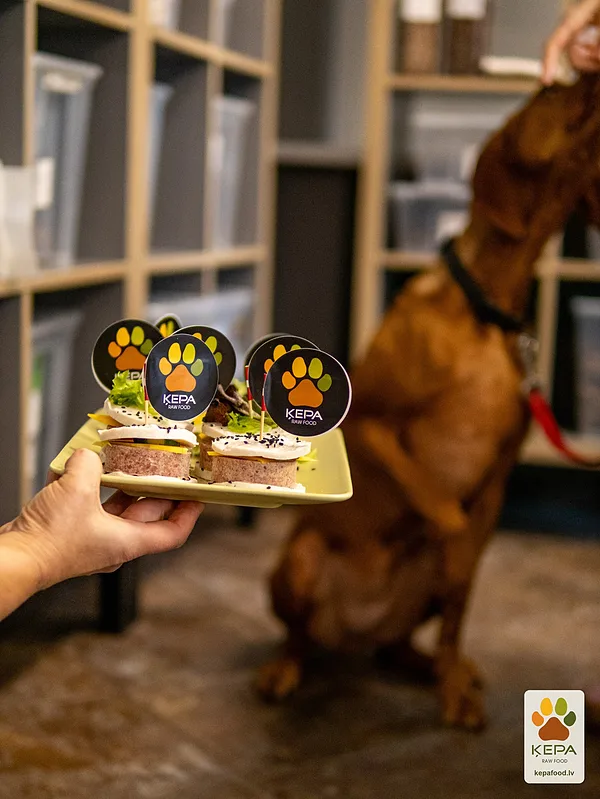ĶEPA dog brunch, 3 October. Photo: Anda Upīte. 132
