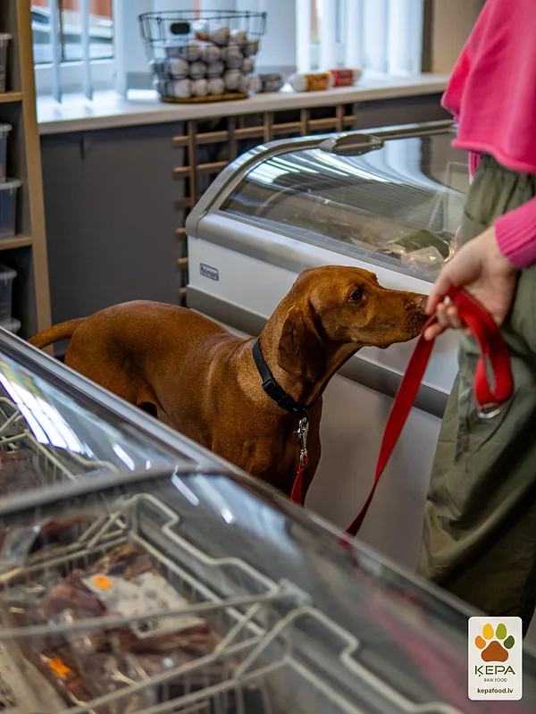 ĶEPA dog brunch, 3 October. Photo: Anda Upīte. 135