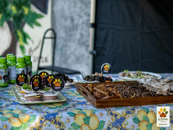 ĶEPA dog brunch, 3 October. Photo: Anda Upīte. 142