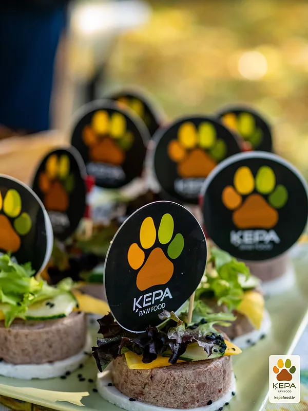 ĶEPA dog brunch, 3 October. Photo: Anda Upīte. 154