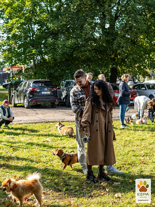 ĶEPA dog brunch, 3 October. Photo: Anda Upīte. 155