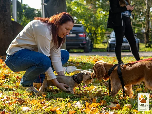 ĶEPA dog brunch, 3 October. Photo: Anda Upīte. 157