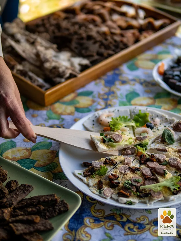 ĶEPA dog brunch, 3 October. Photo: Anda Upīte. 165