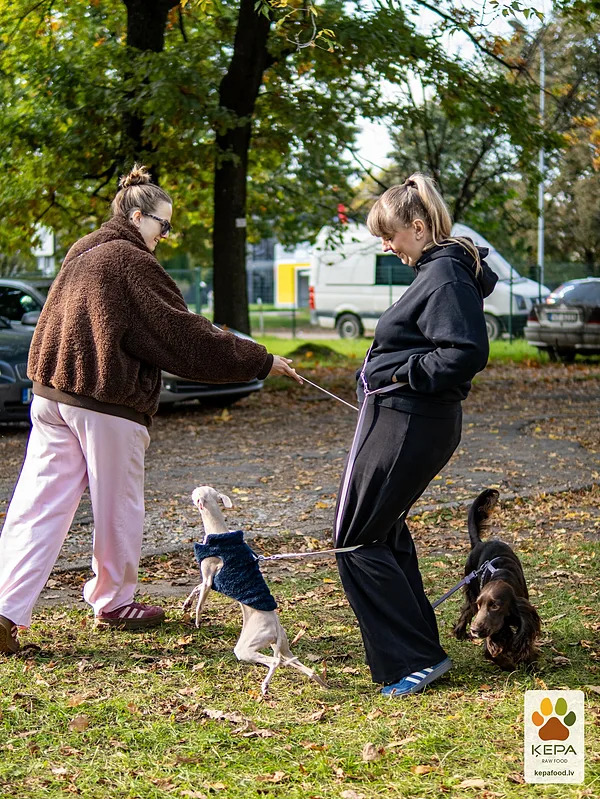 ĶEPA dog brunch, 3 October. Photo: Anda Upīte. 168