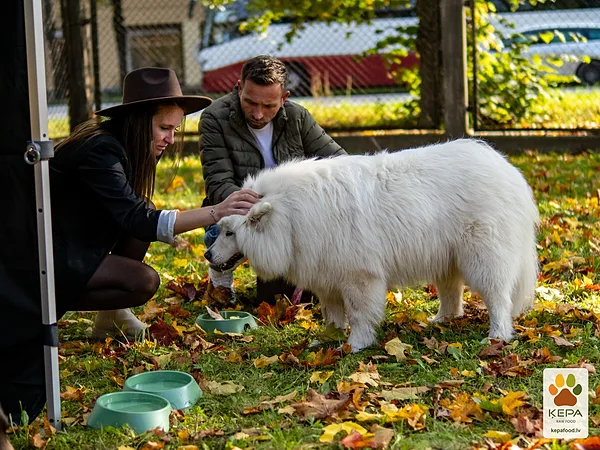 ĶEPA dog brunch, 3 October. Photo: Anda Upīte. 172
