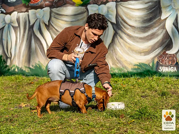 ĶEPA dog brunch, 3 October. Photo: Anda Upīte. 177