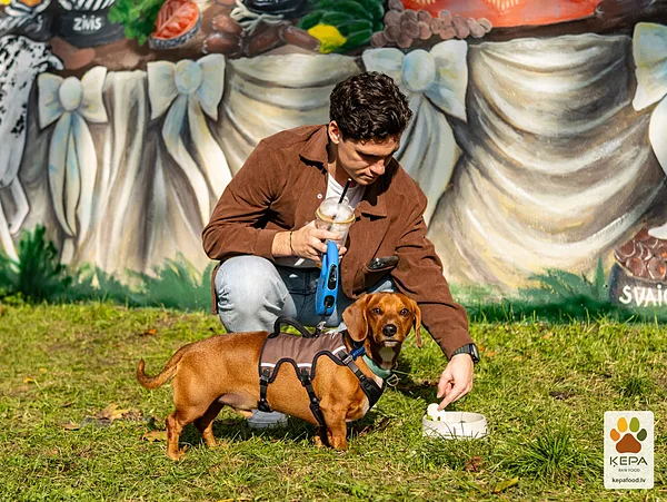 ĶEPA dog brunch, 3 October. Photo: Anda Upīte. 178