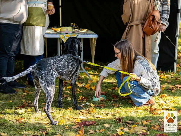 ĶEPA dog brunch, 3 October. Photo: Anda Upīte. 181