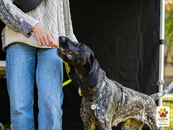 ĶEPA dog brunch, 3 October. Photo: Anda Upīte. 182