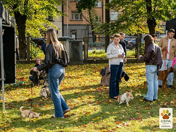 ĶEPA dog brunch, 3 October. Photo: Anda Upīte. 194