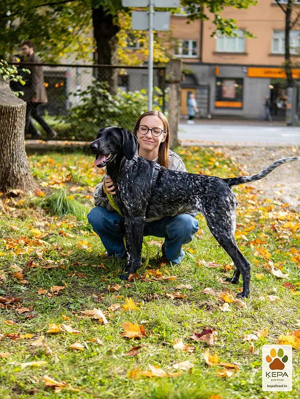 ĶEPA dog brunch, 3 October. Photo: Anda Upīte. 200