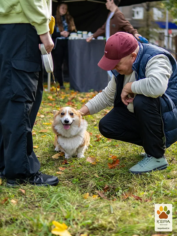 ĶEPA dog brunch, 3 October. Photo: Anda Upīte. 202