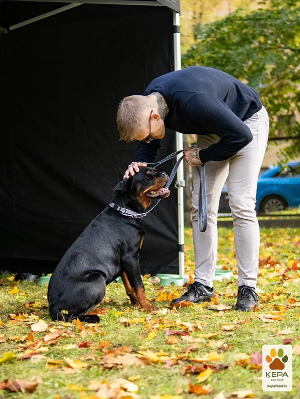 ĶEPA dog brunch, 3 October. Photo: Anda Upīte. 205